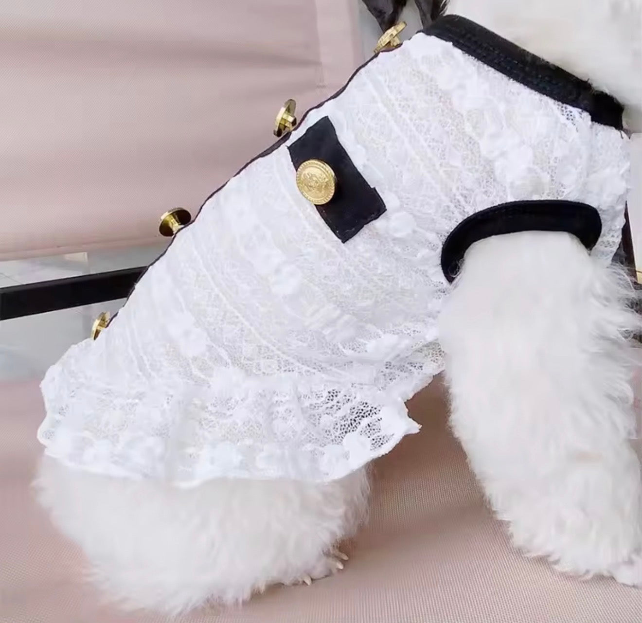 The Heiress Lace Dress