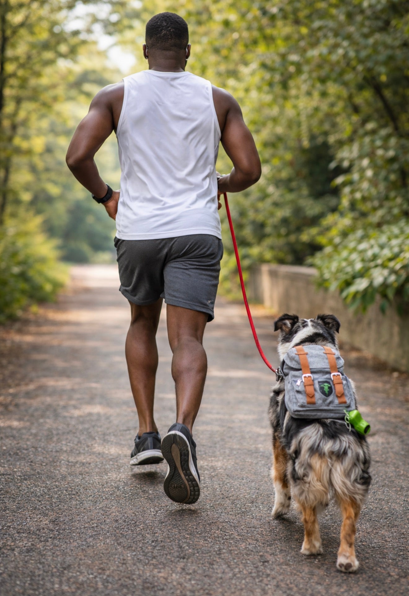 Adventure Dog Backpack – Adjustable Pet Backpack for Treats & Essentials