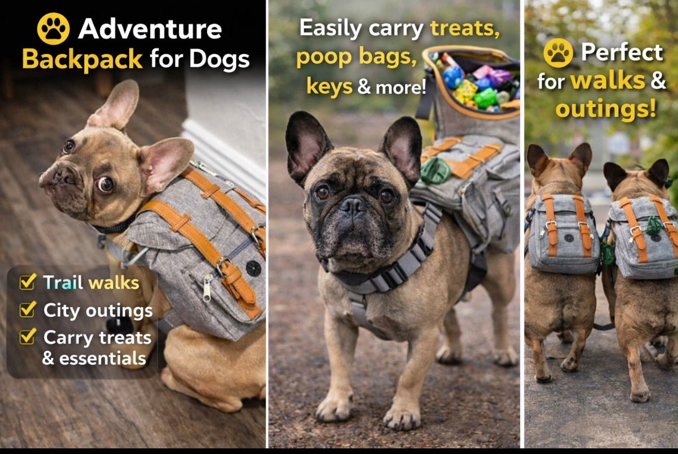 Adventure Dog Backpack – Adjustable Pet Backpack for Treats & Essentials