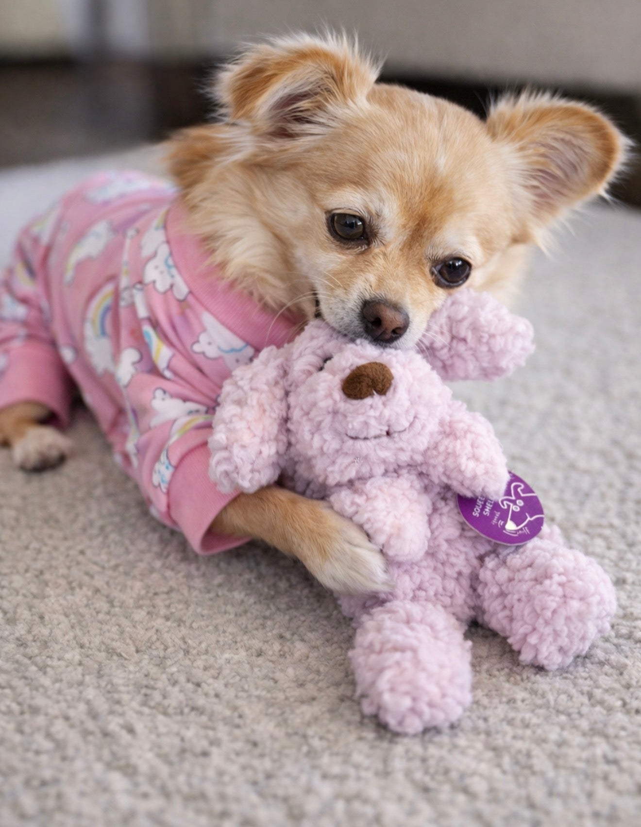 Lavender Mini Calming Plush Dog Toy – Aromatherapy Squeaky Puppy Toy