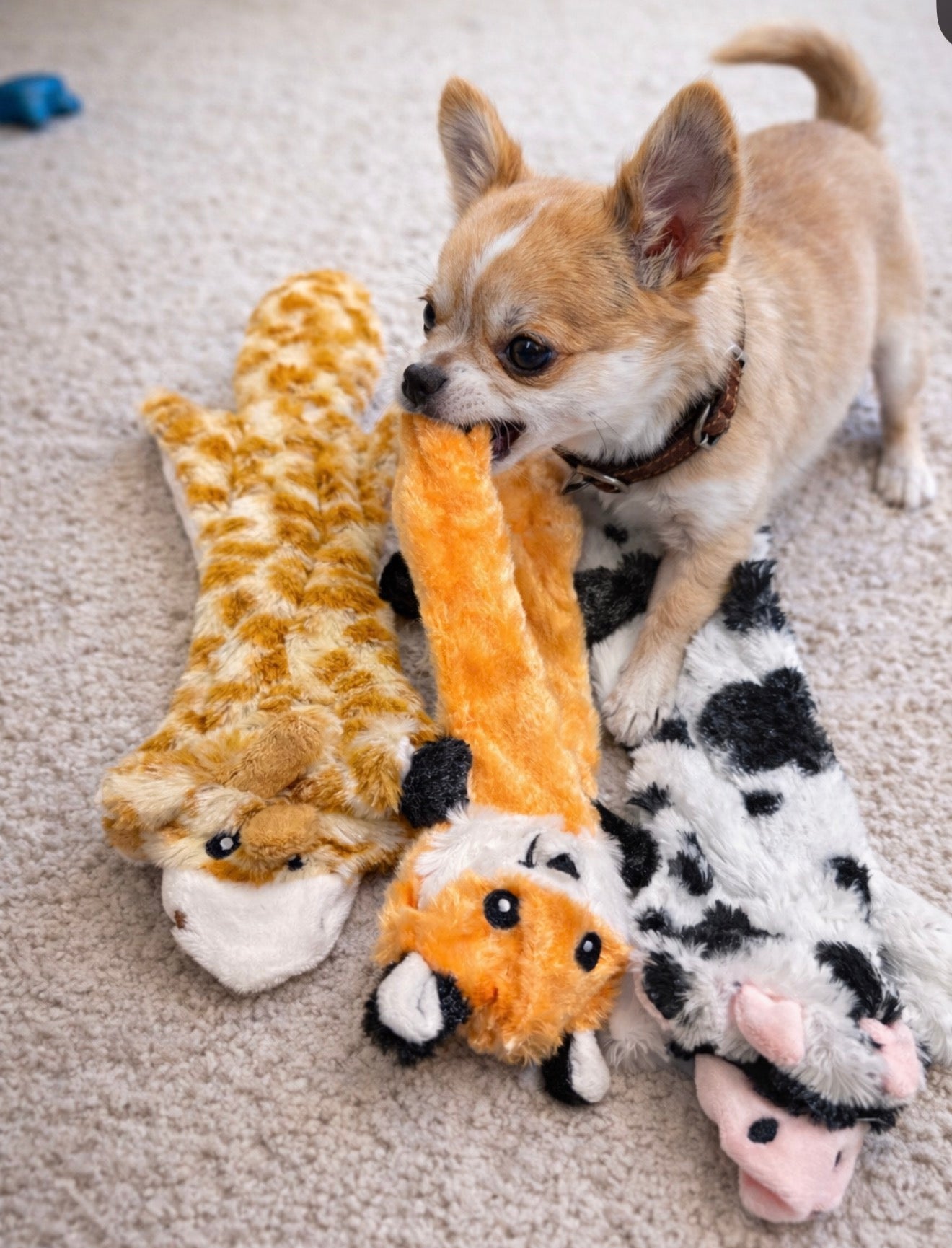 Stuffing-Free Plush Animal Dog Toy Bundle