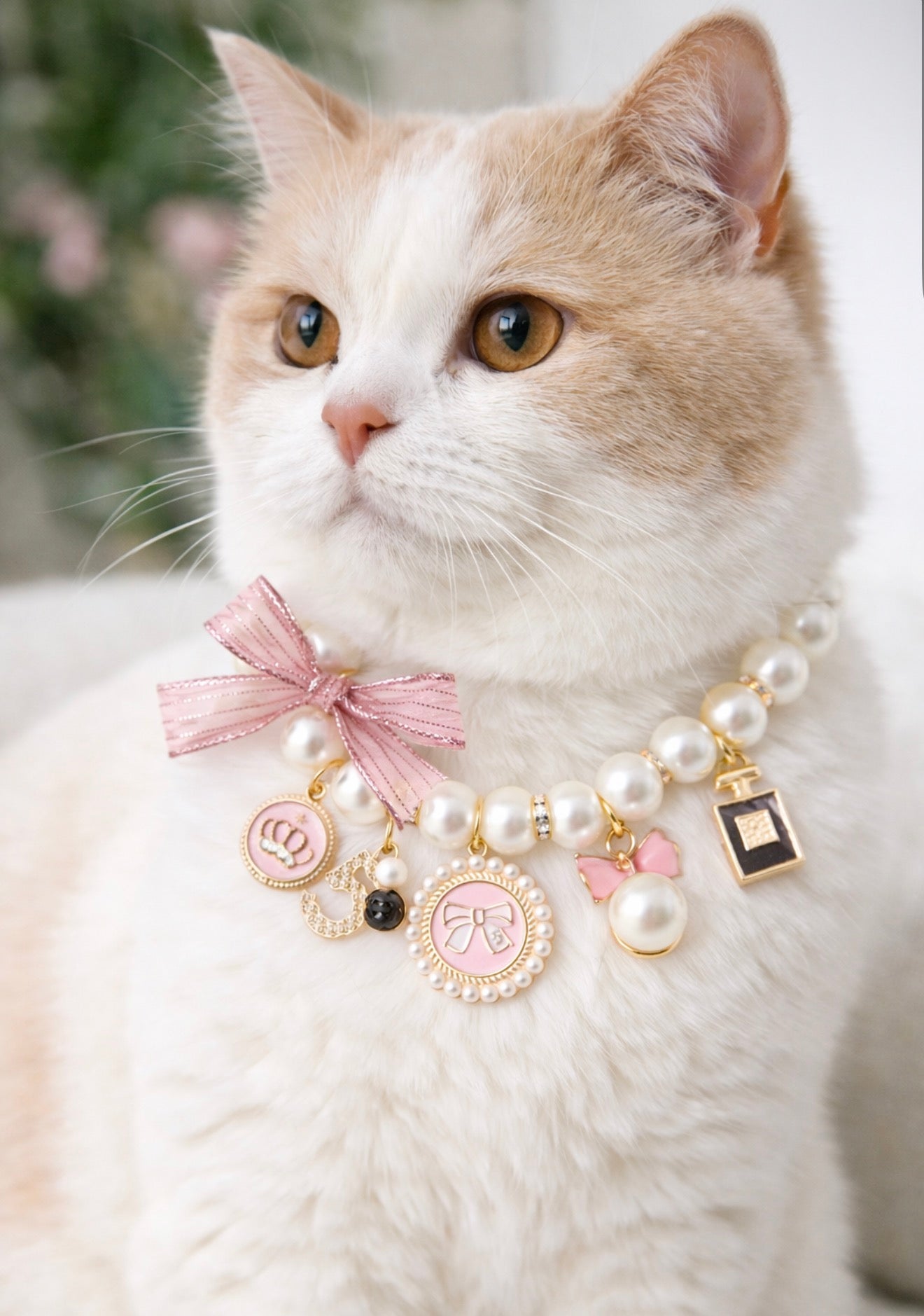 Regal Pearl Charm Necklace