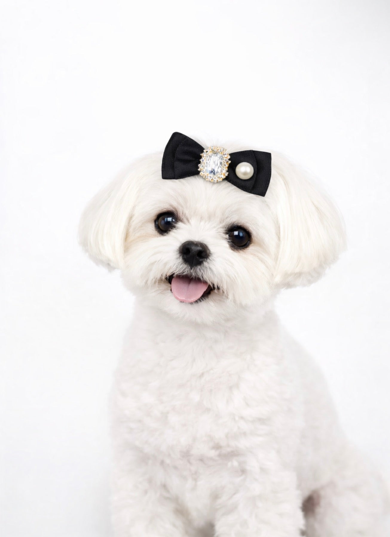 Royal Pearl Bow Collection – Luxury Pet Accessory Set