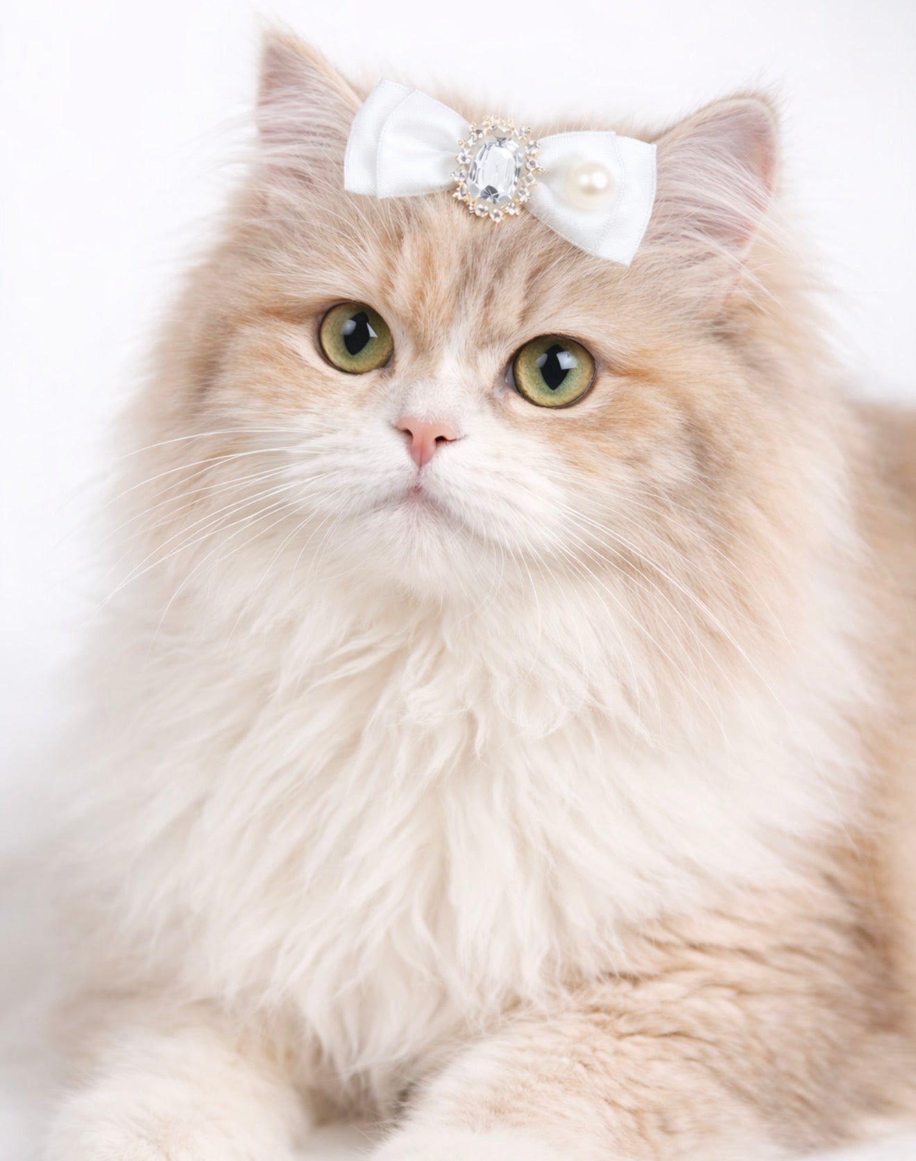 Royal Pearl Bow Collection – Luxury Pet Accessory Set