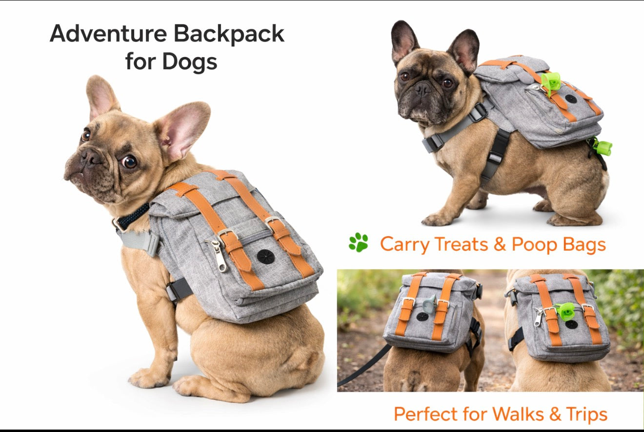 Adventure Dog Backpack – Adjustable Pet Backpack for Treats & Essentials